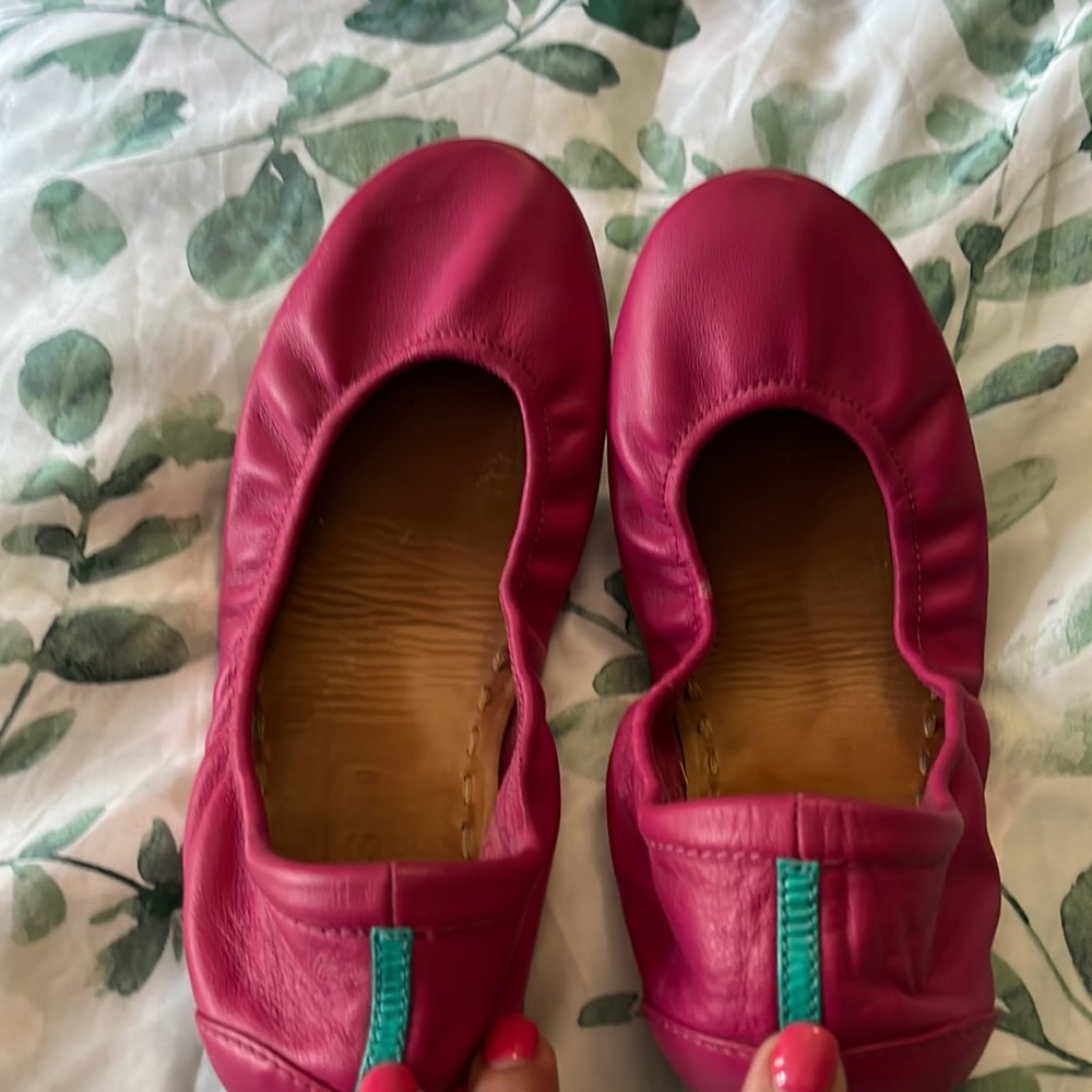 Fuchsia tieks